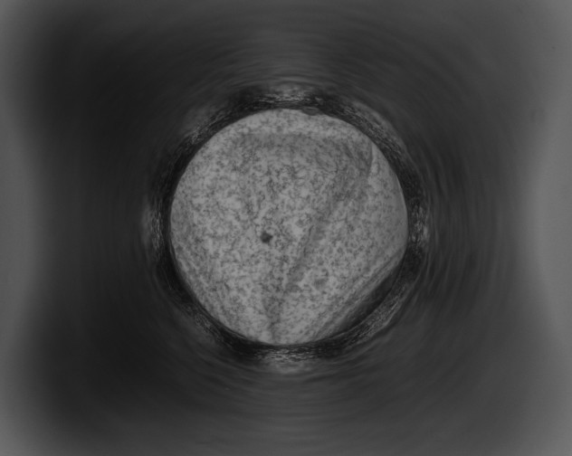 X0000100190568200806201257