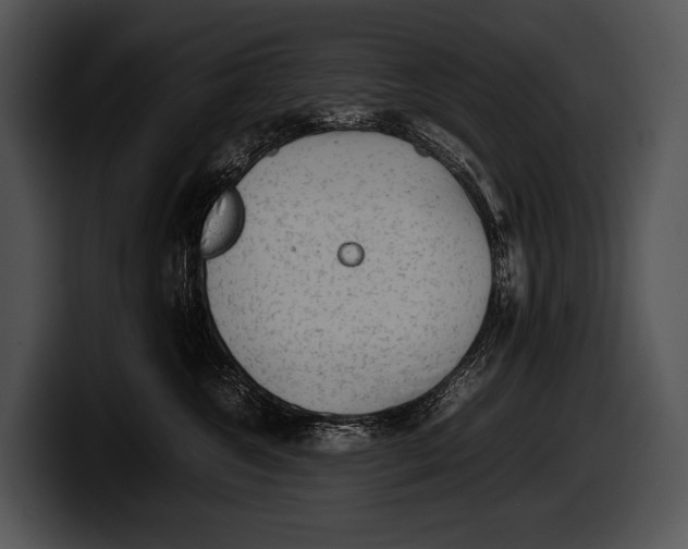 X0000100190572200806201257