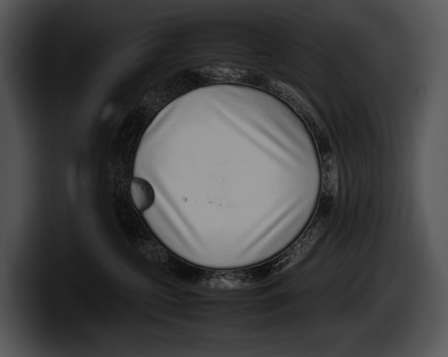X0000100190573200806201257
