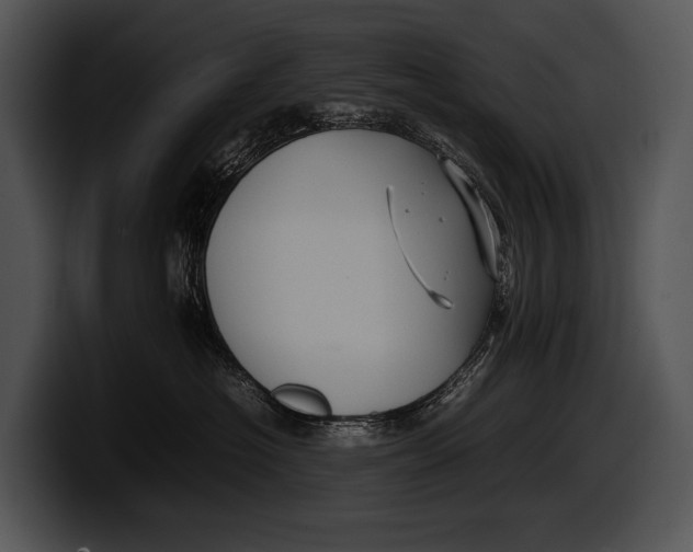 X0000100190574200806201257