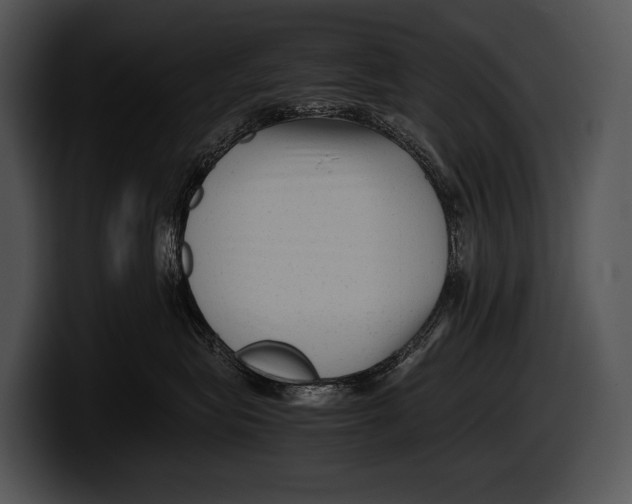 X0000100190575200806201257