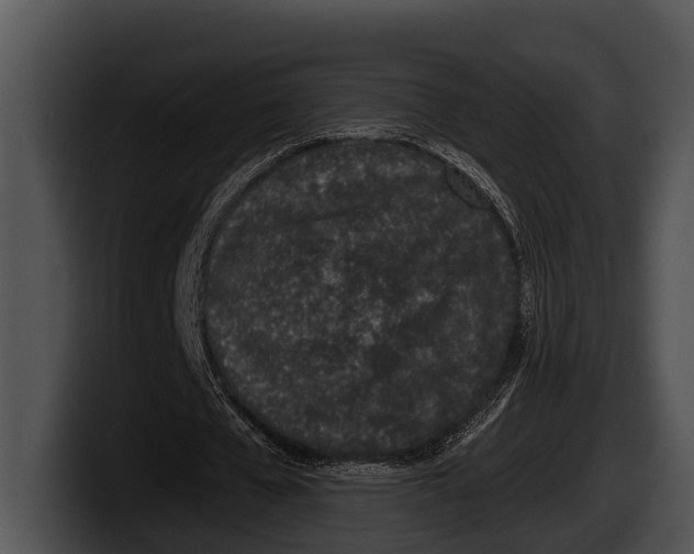 X0000100190577200806201256