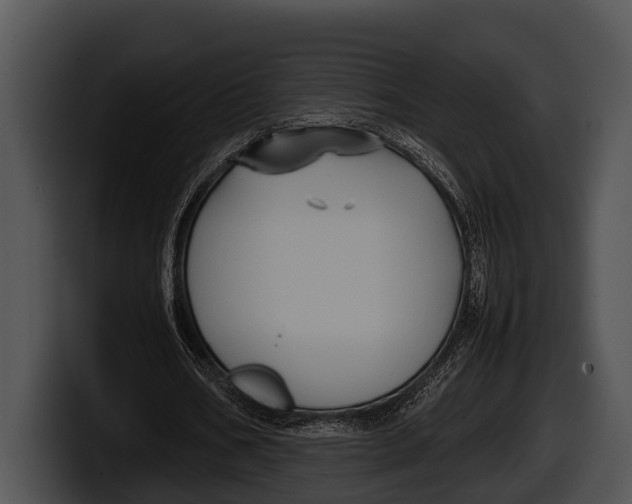 X0000100190578200806201256