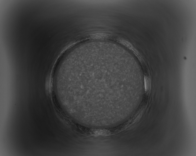 X0000100190579200806201256