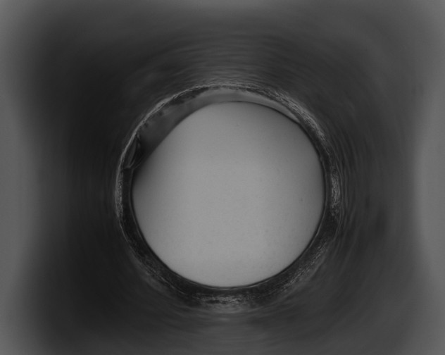 X0000100190580200806201256