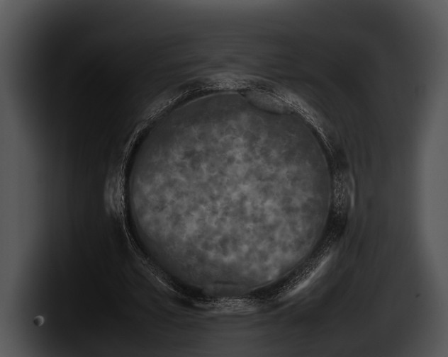 X0000100190581200806201256