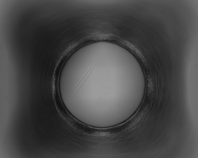 X0000100190582200806201256