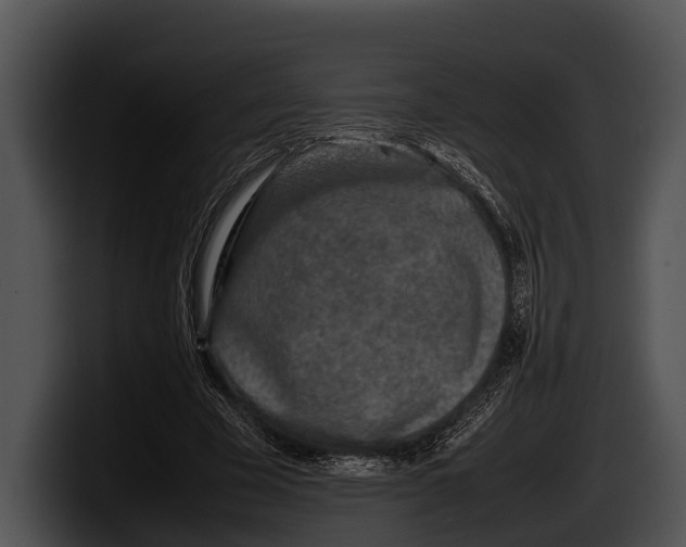 X0000100190585200806201256