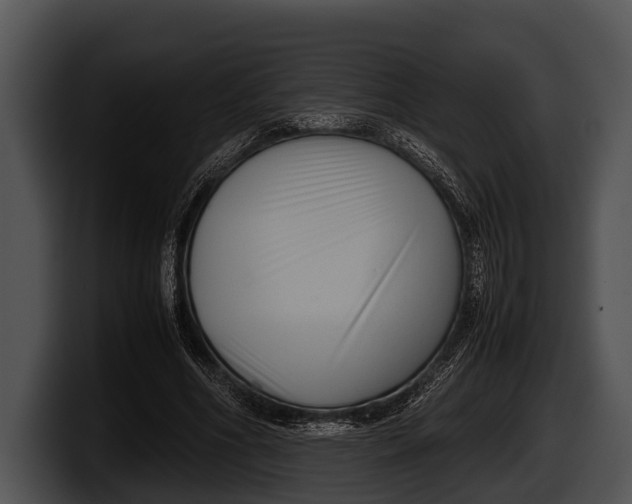 X0000100190586200806201256