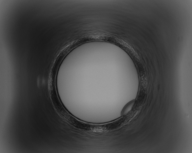 X0000100190587200806201256