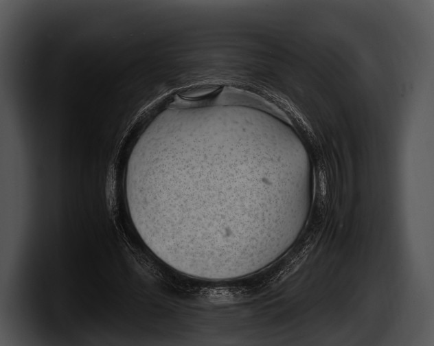 X0000100190588200806201256