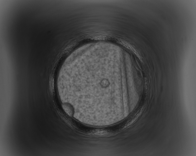 X0000100190589200806201256