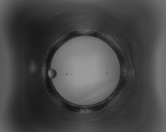 X0000100190591200806201256