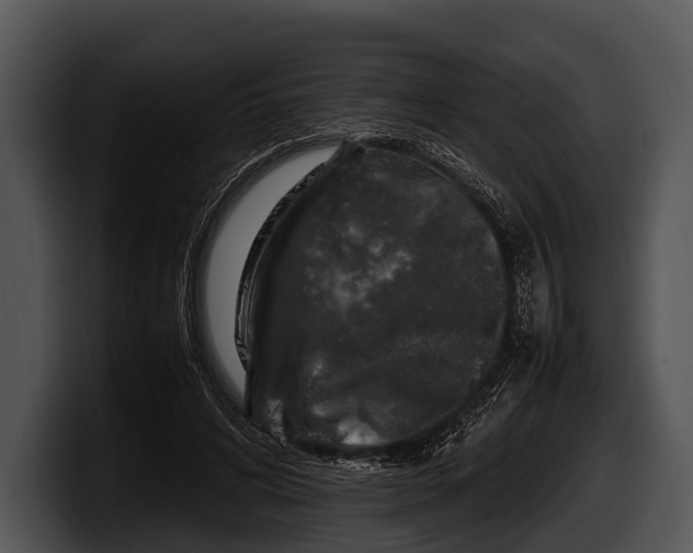 X0000100190592200806201256