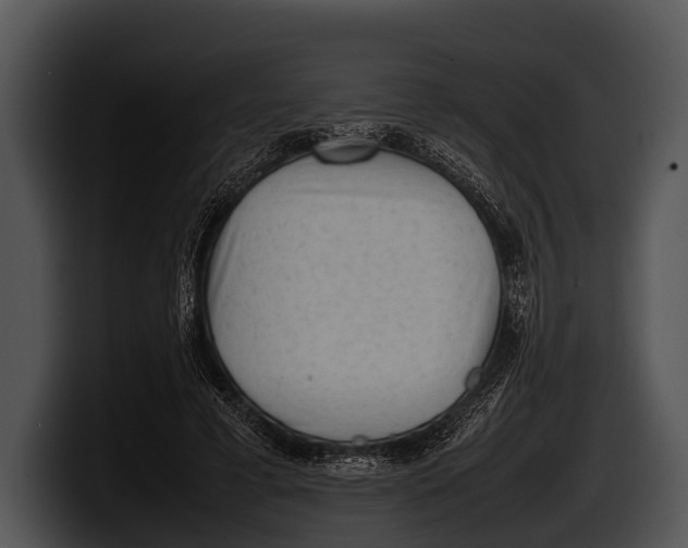 X0000100190593200806201256