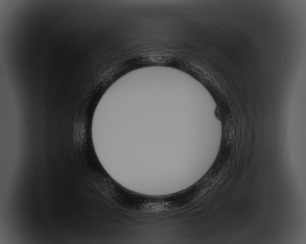 X0000100190595200806201256