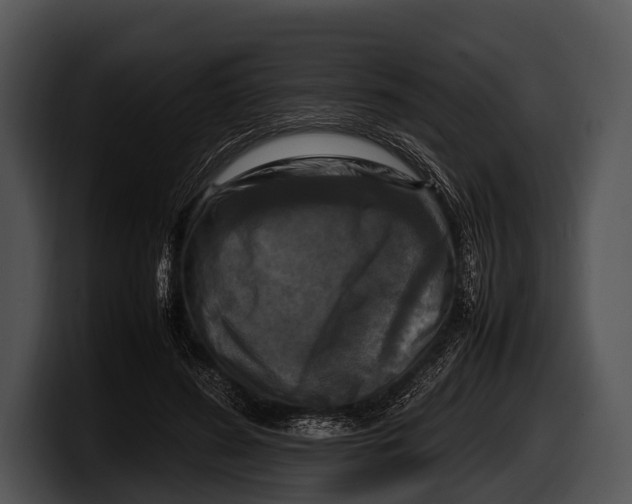 X0000100190596200806201256
