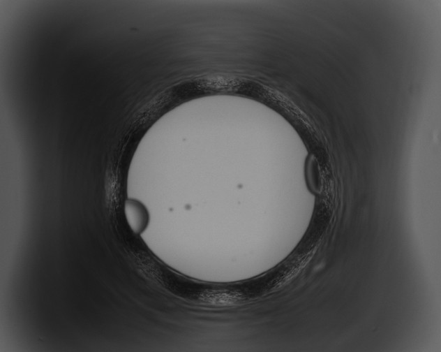 X0000100190597200806201256