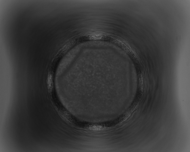 X0000100190598200806201256