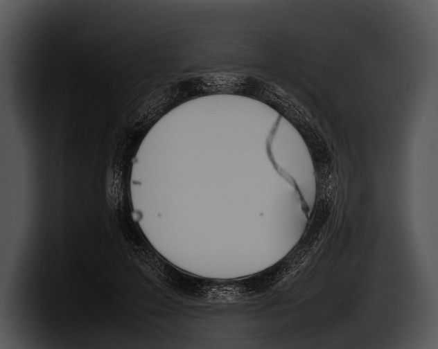 X0000100190599200806201256