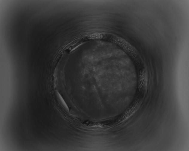 X0000100190600200806201256