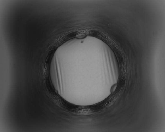 X0000100190601200806201256