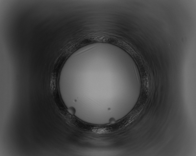 X0000100190602200806201256