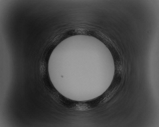 X0000100190603200806201256