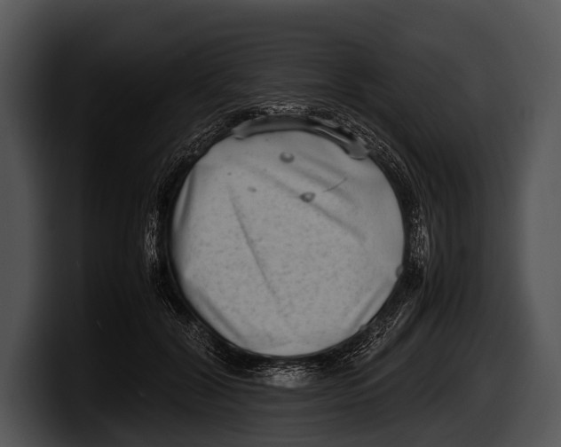 X0000100190604200806201256