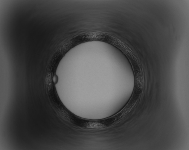 X0000100190605200806201256