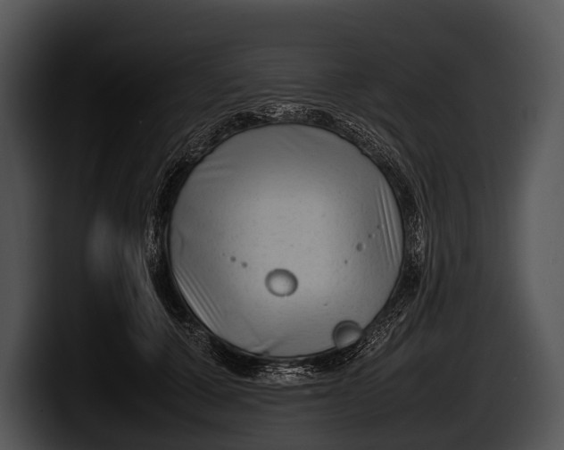 X0000100190607200806201256
