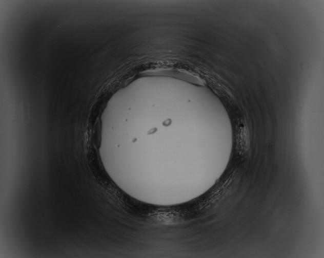 X0000100190608200806201256