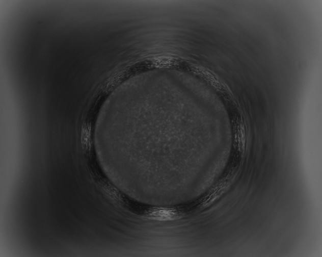 X0000100190610200806201256