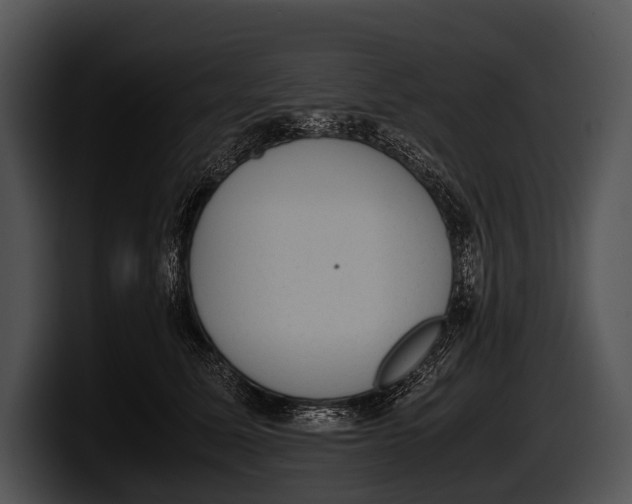 X0000100190611200806201256