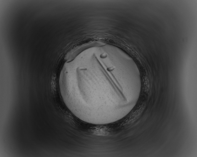 X0000100190612200806201256