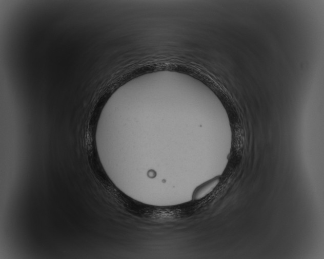 X0000100190613200806201256