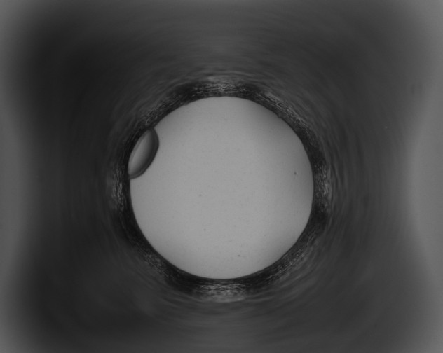 X0000100190615200806201256