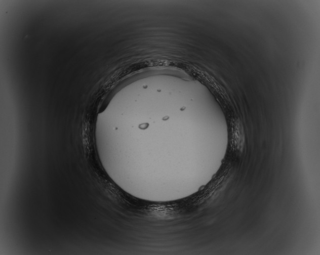 X0000100190616200806201256