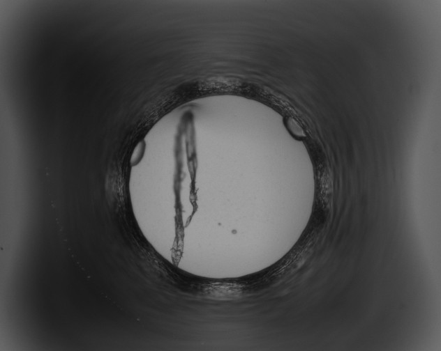 X0000100190617200806201256