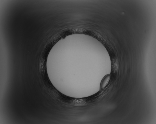 X0000100190619200806201256