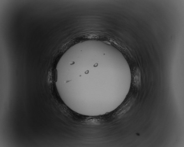 X0000100190620200806201256