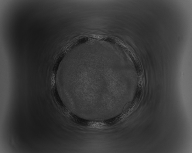 X0000100190621200806201256