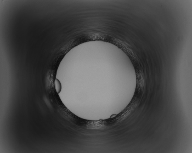 X0000100190622200806201256