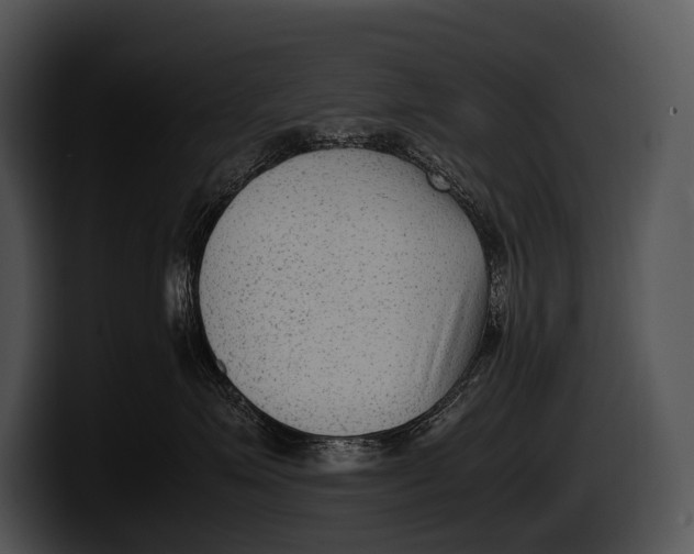 X0000100190623200806201256