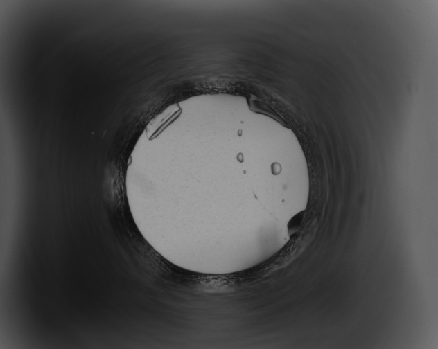 X0000100190624200806201256