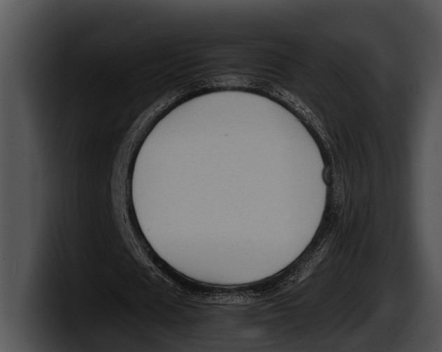 X0000100190625200806201255