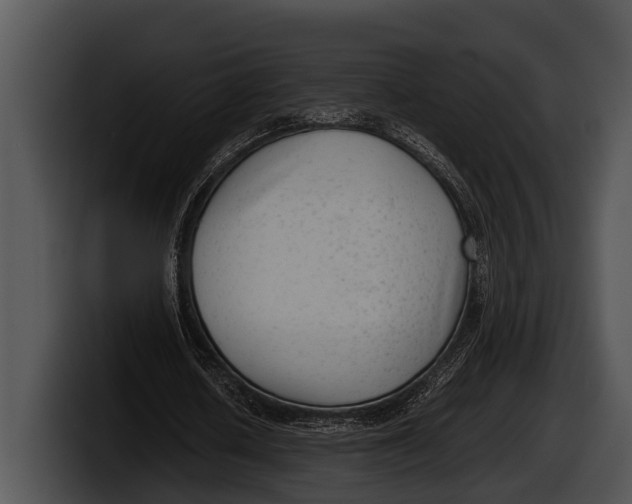 X0000100190626200806201255