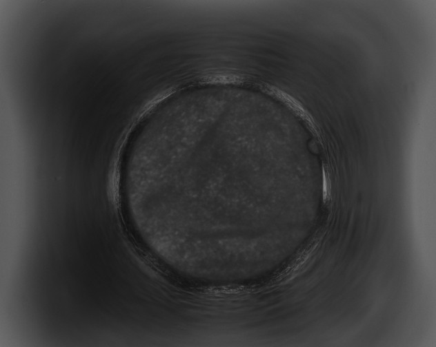 X0000100190627200806201255