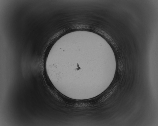 X0000100190629200806201255