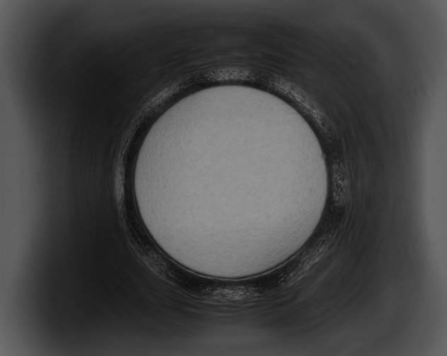 X0000100190631200806201255